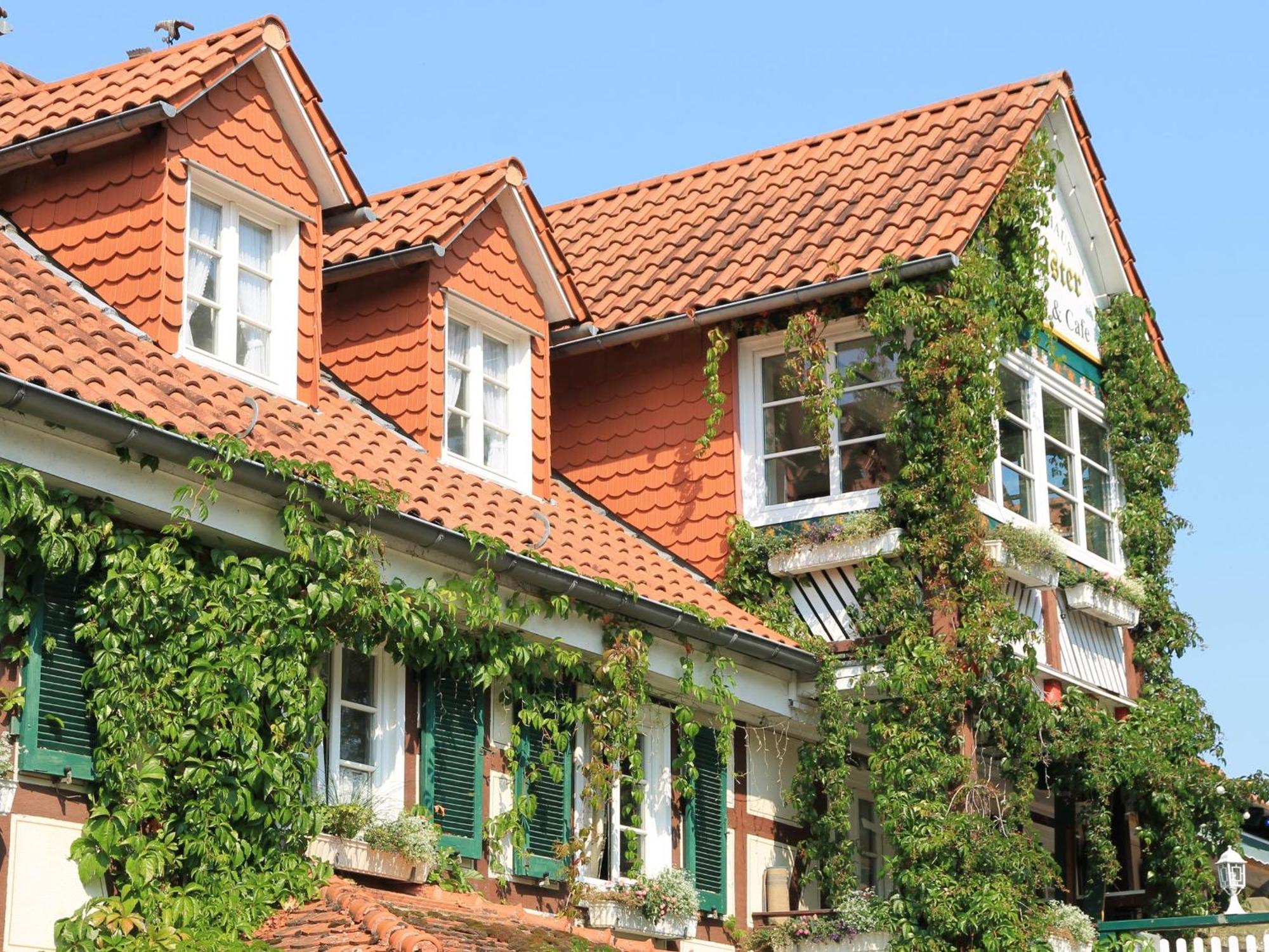 Landgasthof & Landhaus Hofmeister Diemelsee Luaran gambar